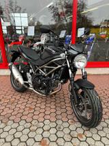 Suzuki SV650*SV*650*MY25*Neu*4 Jahre Garantie Gratis* - SUZUKI GR650