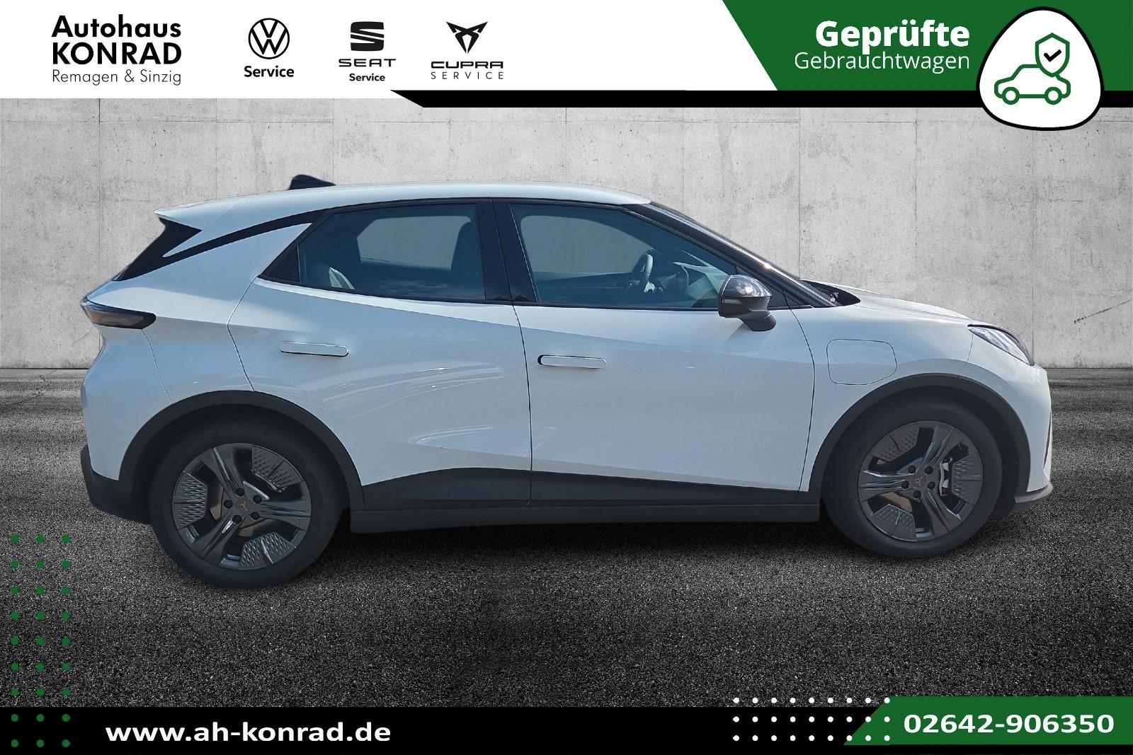 Cupra Raval Endurance Edge-Paket Dinamica-Paket