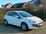 Fiat Punto Evo AutomaticIch - weiße Fiat Punto Evo