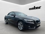 BMW 218i Cabrio Advantage| Aut.|Leder|SH|HIFI|Kamera - gebrauchte BMW 218 aus dem Jahr 2015