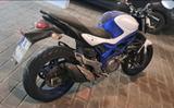 Suzuki Gladius (SFV650A)  - Angebote