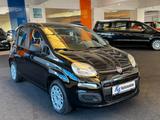 Fiat Panda My Panda - gebrauchte Fiat Panda aus dem Jahr 2013