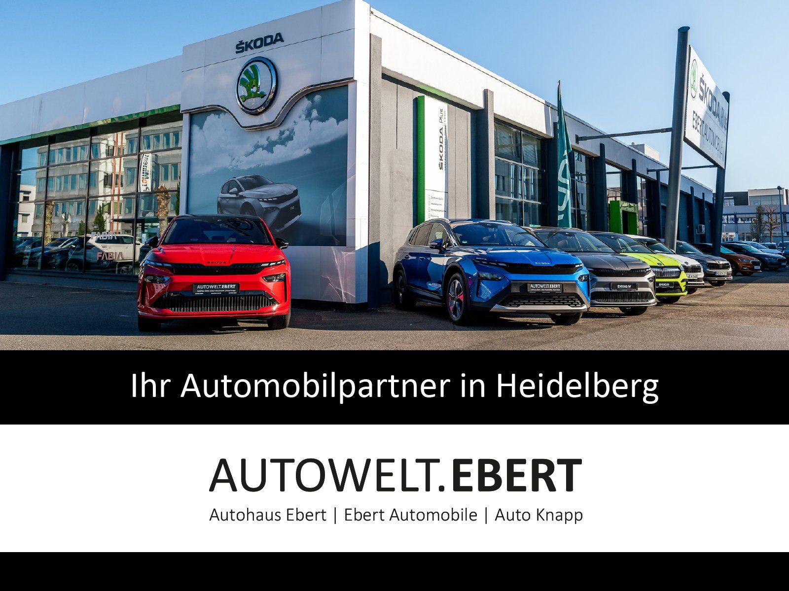 Fahrzeugabbildung SKODA Superb Combi Selection 2,0 TDI 110 kW DSG