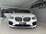 BMW X4 xDrive20d 48V xLine - BMW X4 Hybrid (Diesel/Elektro)