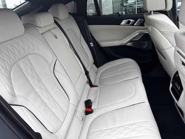 BMW X6 xDrive40d/SEPANG BRONZE/1OF/B&W/FULL-FULL! – 17