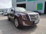 Cadillac Escalade 6.2 V8 Platinum Autom. Platinum - Cadillac Escalade in Berlin