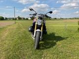 BMW R1200 R LC,3Pakete,ESA Fahrwerk,3Koffer - BMW F
