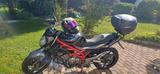 Suzuki Gladius SFV 650 - SUZUKI GLADIUS SFV 650