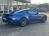 Ford Mustang Fastback 5.0 Ti-VCT V8 328 kW GT - Ford Mustang Jahreswagen