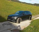 Jaguar F-Pace 30d AWD First Edition Automatik First... - Jaguar F-Pace: First Edition