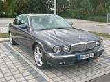 Jaguar XJ8 4.2 Liter LWB - - Jaguar XJ8 von privat