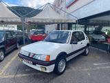 Peugeot 205 1.6 GTI PTS - Peugeot 205: GTI