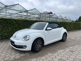 Volkswagen Beetle Cabrio - VW Beetle Gebrauchtwagen in Hamburg