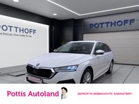 Skoda Octavia - Vorschau Bild 1
