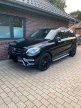 Mercedes-Benz Mercedes ML350 CDI Blue Tec 4Matic - Mercedes-Benz ML 350 Gebrauchtwagen in Bremen