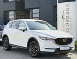 Mazda CX-5 SKYACTIV-D 150 AWD SCR Exclusive-Line - gebrauchte Mazda CX-5 aus dem Jahr 2019