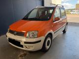Fiat Panda 1.2 8V Alessi - Fiat Panda mit Benzin-Antrieb: Kleinwagen, Automatik, 1.2