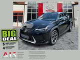 Lexus UX 250h Style Edition ACC+LED+2xKlima+Fernlichta - Lexus Gebrauchtwagen in Dresden