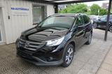 Honda CR-V Executive 4WD/Automatik,Alcantara - Honda CR-V: Executive
