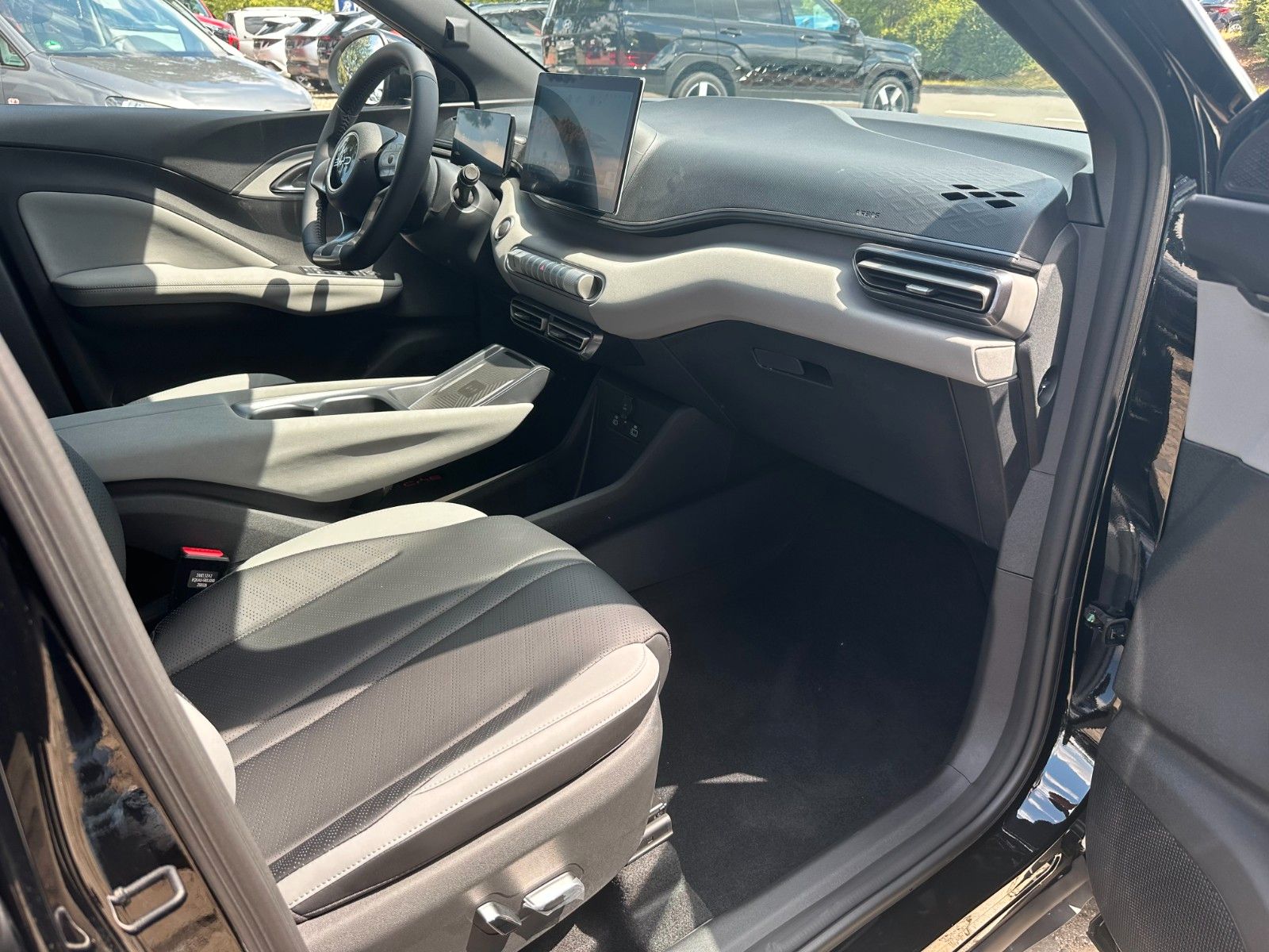 BYD DOLPHIN SURF