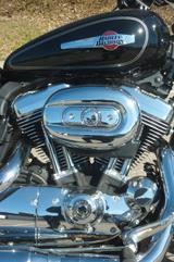 Harley-Davidson XL 1200 C Sportster - Offers matching your search criteria