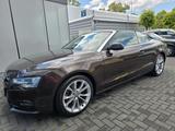 Audi A5 Cabriolet 2.0 TDI/Xenon Plus/Leder/Sound Syst - Audi A5: Braun