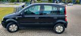 Fiat Panda Typ 169 Tüv bis Juni 2027 - Fiat Panda 169