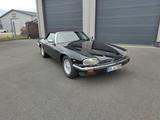 Jaguar XJS 5.3 HE V12 Convertible schöner Zustand - Jaguar XJS: He
