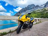 Suzuki GS500F 34 PS gebraucht und unfallfrei - SUZUKI 500