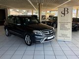 Mercedes-Benz GLK 250 CDI BlueTec 4Matic AMG/AHK/19"LM/BIXENON - Mercedes-Benz GLK 250: Cdi 4matic
