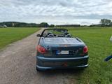 Peugeot 206 CC Roxy 110 Roxy - Peugeot 206 aus 2006: 206cc