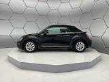Volkswagen Beetle Cabrio 1.4 TSI DSG Xenon Navi PDC - gebrauchte VW Beetle aus dem Jahr 2018