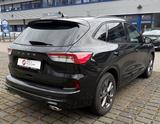 Ford Kuga 1.5 ST-Line X/LED/Kamera/HeadUp/ACC/WinterP - Ford mit Benzin-Antrieb: Geländewagen