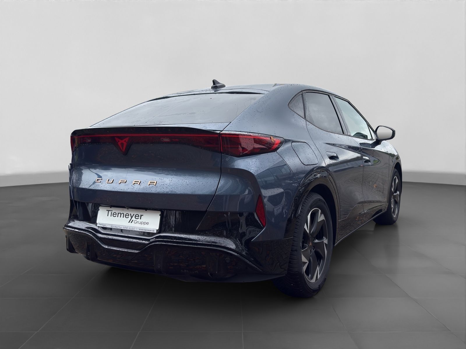 Cupra Tavascan Endurance SIDE-ASSIST W-PUMPE MATRIX PA imagem 3