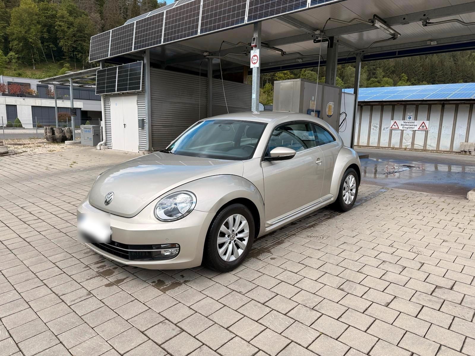 VW Beetle