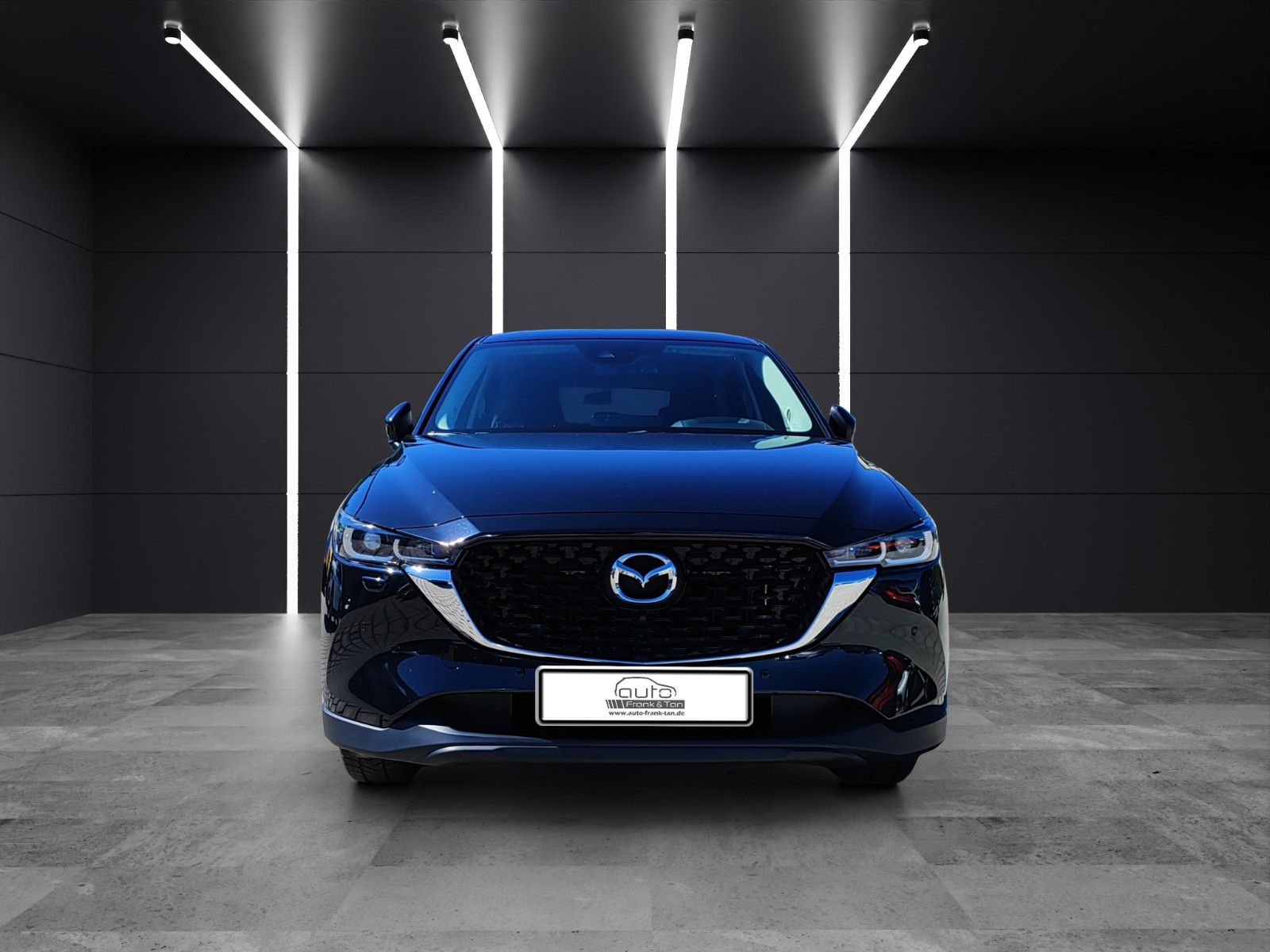 Fahrzeugabbildung Mazda CX-5 Ad'vantage*Apple CarPlay*Navi*Winter Paket*