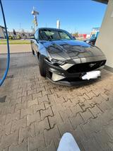 Ford Mustang 5.0 Ti-VCT V8 GT Recarositze Garantie - Ford Mustang in Hamm