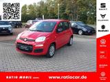 Fiat PANDA 1.2 8V EASY WENIG KILOMETER - SCHECKHEFT  - Fiat Panda in Chemnitz