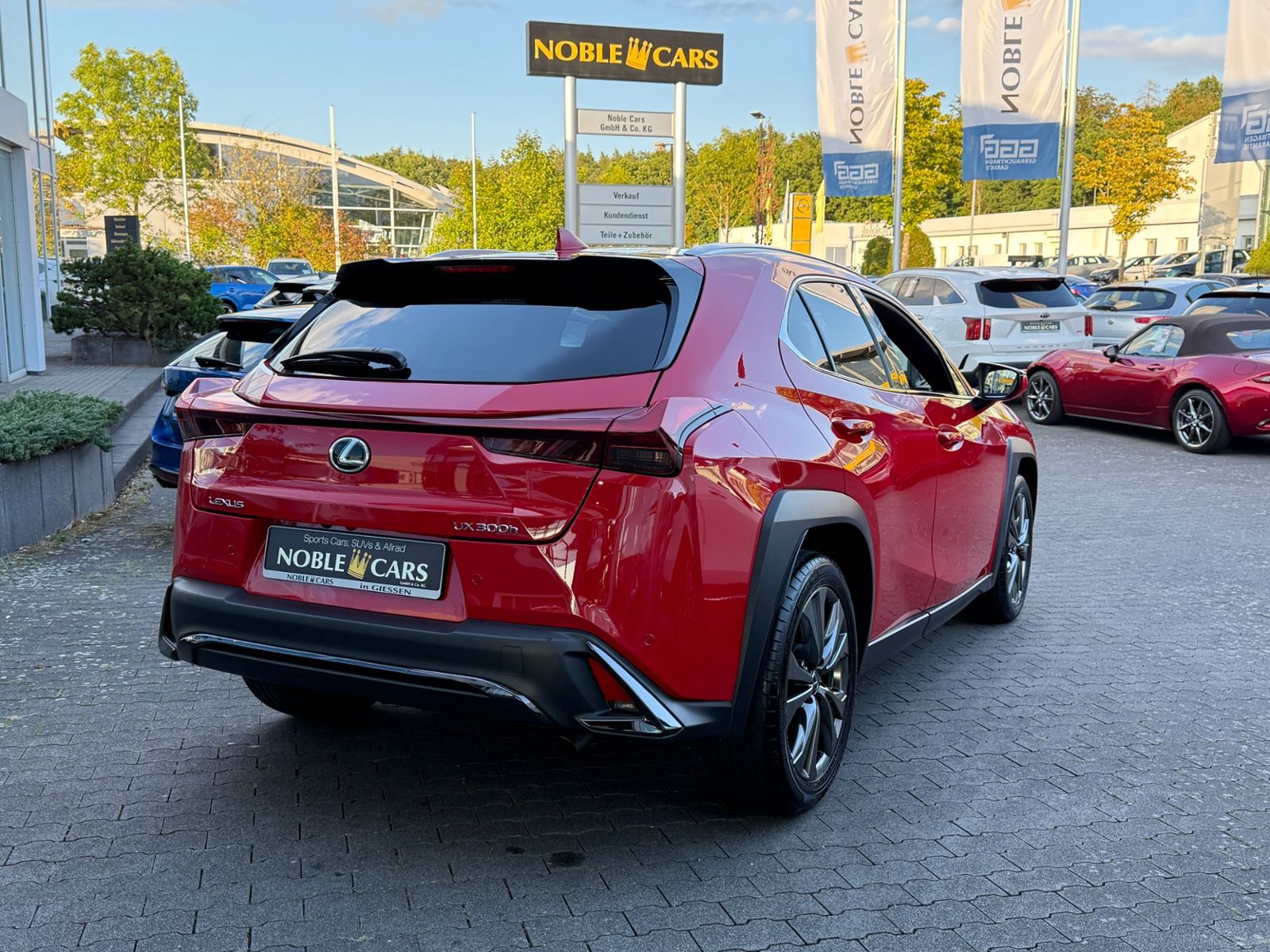 Fahrzeugabbildung Lexus UX 300 h F Sport Design LED NAV ACC RFK SHZ