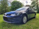 Volkswagen Golf VII 1.0 TSI OPF 63kW Trendline - Volkswagen Golf: 6.0