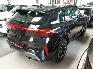 Cupra Terramar - 3