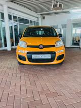Fiat Panda Easy 1.2 Klima 1. Hand NR scheckh PDC - Fiat: Orange