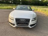 Audi A5 2.0 TFSI Cabriolet - Audi A5 aus 2009: Cabrio
