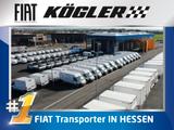 Fiat DUCATO MULTICAB MAXI35 L3H2 180D 7 Sitzer 35% - Fiat Ducato Gebrauchtwagen in Frankfurt