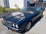 Jaguar X300 XJ4.0 Sovereign - 82TKM TÜV/AU... - Jaguar XJ: X300