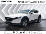 Mazda CX-30 Excl-Line HEAD-UP el.H-KLAPPE NAVI KAMERA - Mazda CX-30 Gebrauchtwagen in Berlin