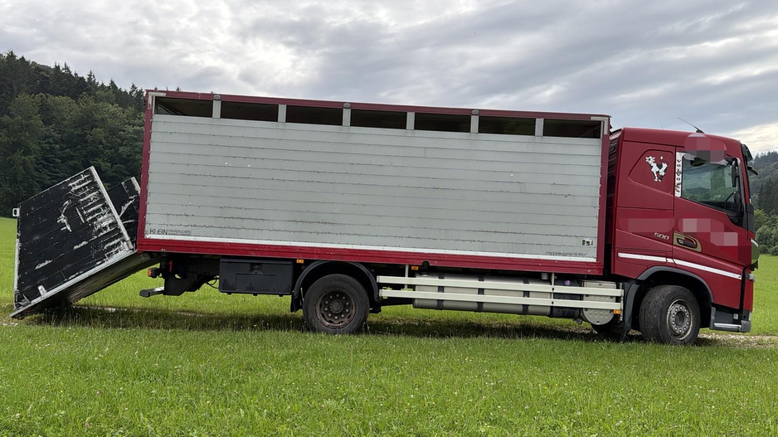 Volvo FH 500 VIEHTRANSPORTER