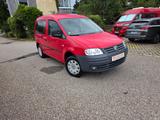 Volkswagen Caddy Life Gewinner Caddy Top Zustand 6220 km - gebrauchte VW Caddy aus dem Jahr 2009