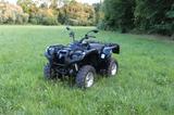 Yamaha Grizzly 700 mit EPS , YFM 700 , ATV  aus 1. Hand - Angebote entsprechen deinen Suchkriterien