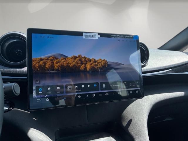 BYD Dolphin Design Pano/LED/360Kamera/Smartkey